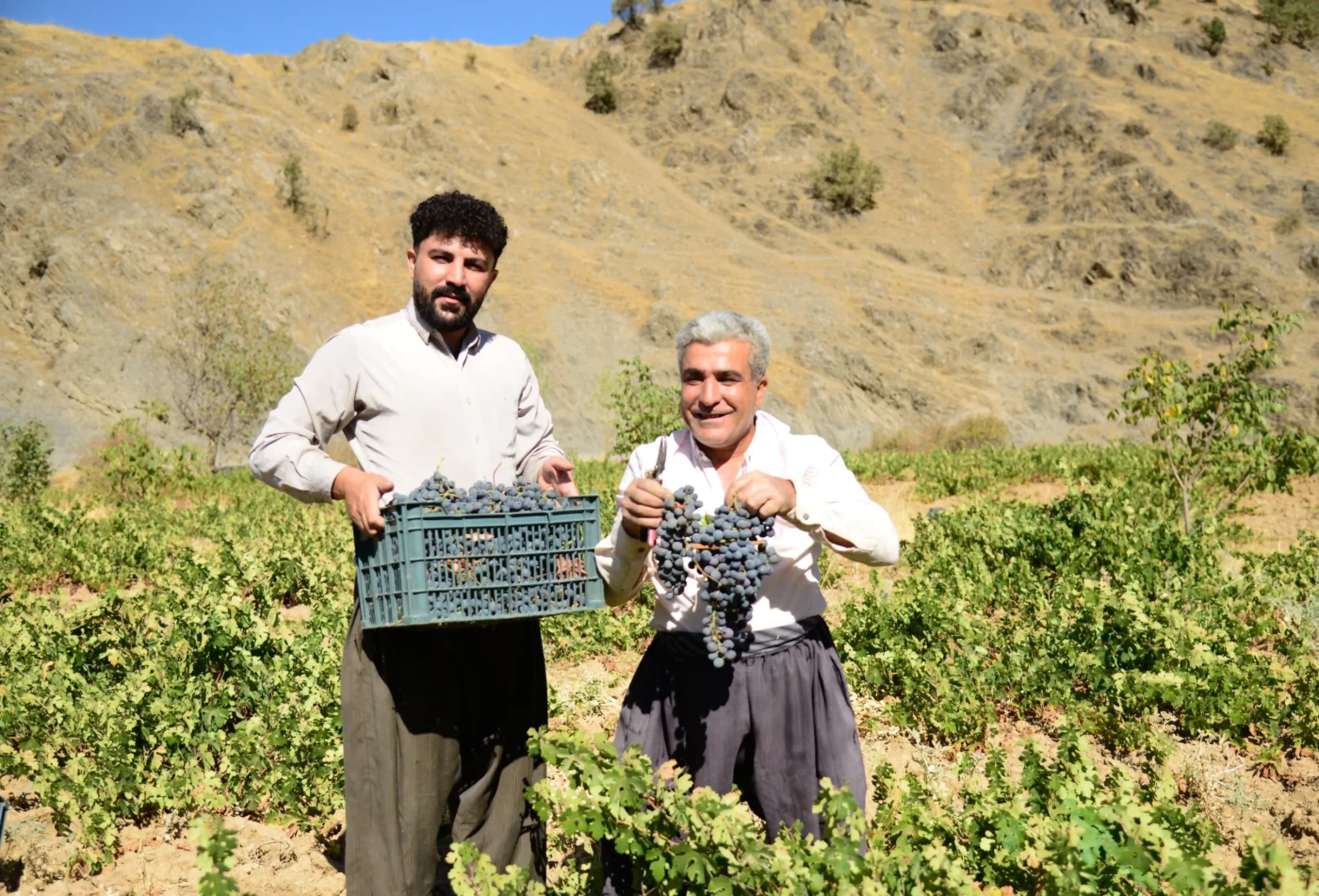 Photos by Awder Mohammed