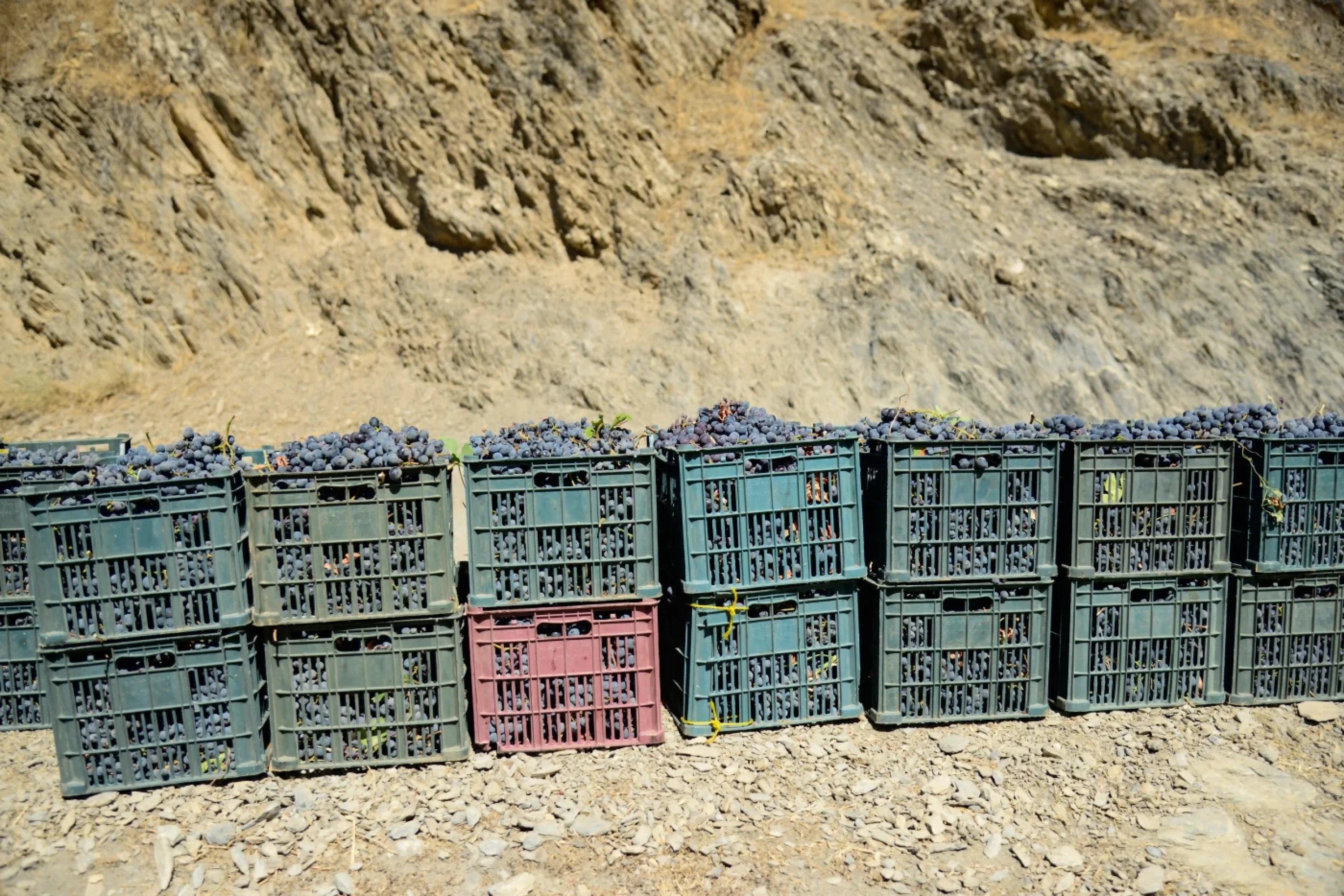 Photos by Awder Mohammed