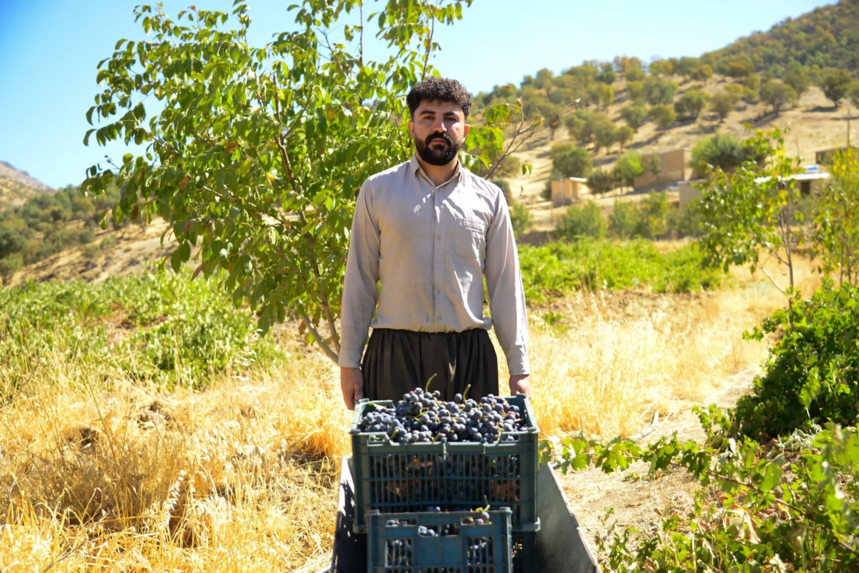 Photos by Awder Mohammed