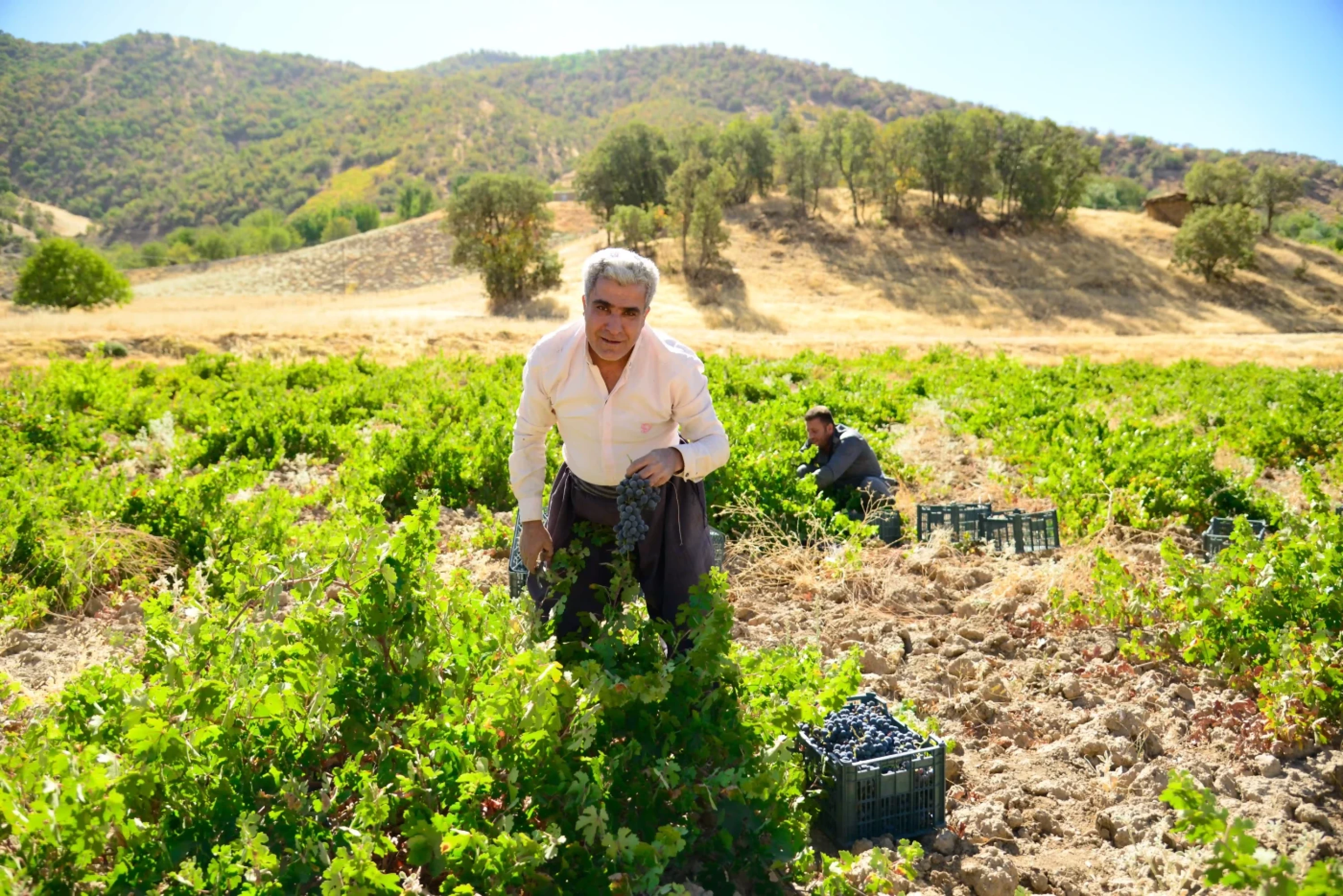 Photos by Awder Mohammed