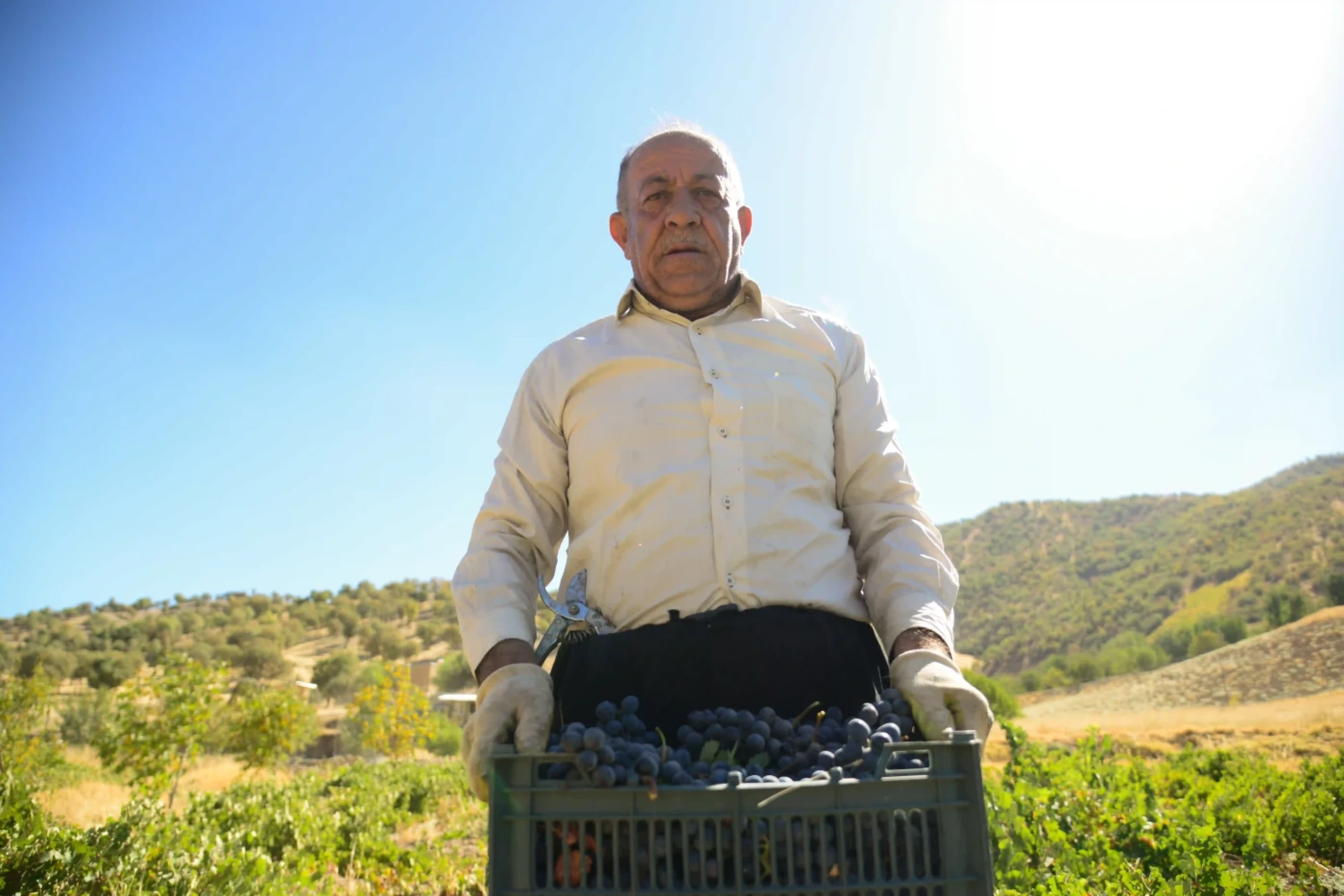 Photos by Awder Mohammed