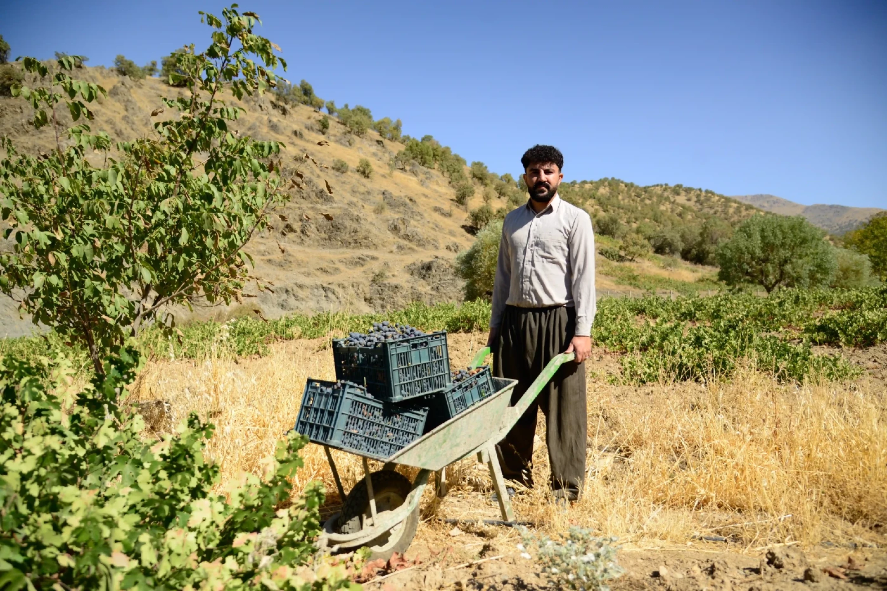 Photos by Awder Mohammed