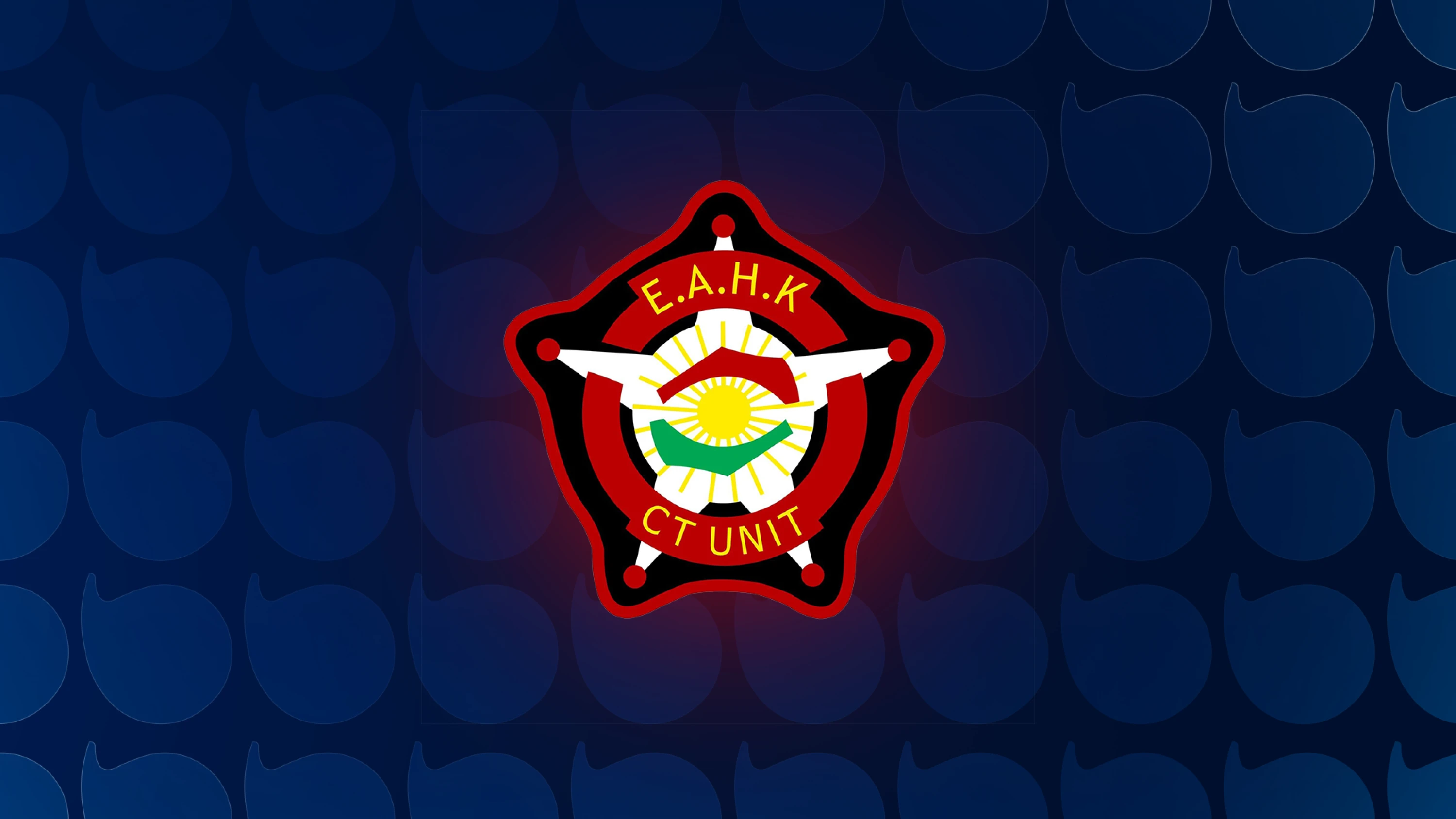 Image of At least 10 drones intercepted over Erbil: Kurdish counterterrorism