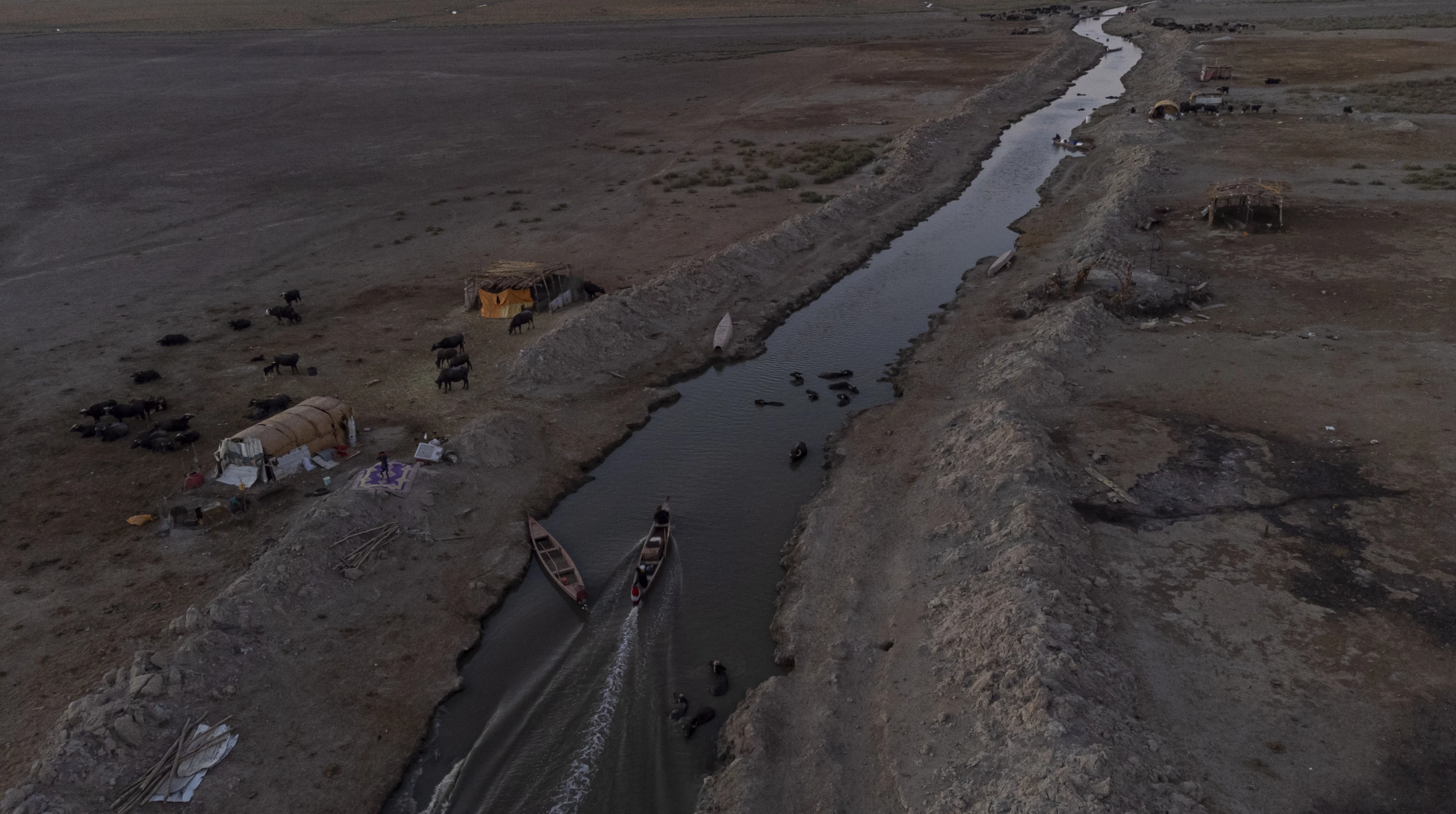 Image of Dhi Qar implements 14-billion-dinar projects to revitalize marshes