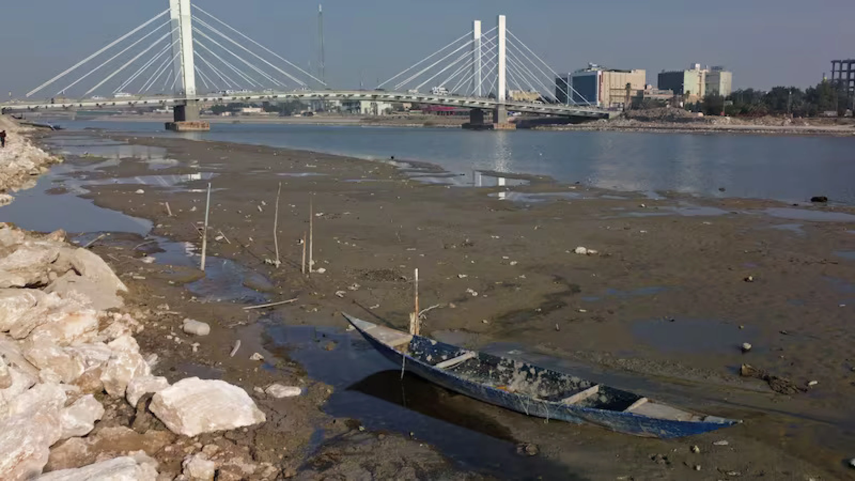 Image of Iraq Euphrates fish unfit for human consumption, observatory warns 