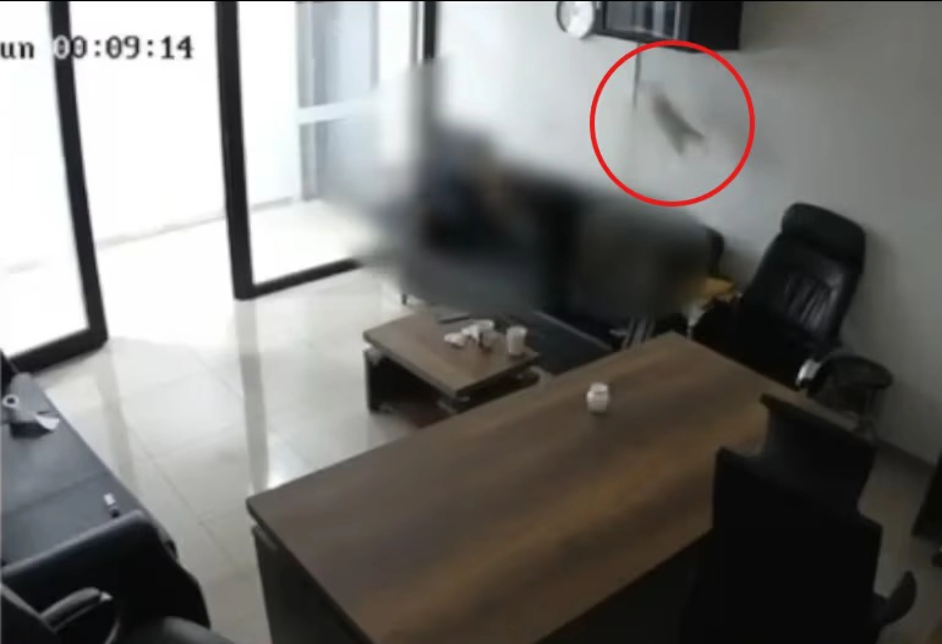 Image of Video of man abusing cat in Erbil sparks outrage