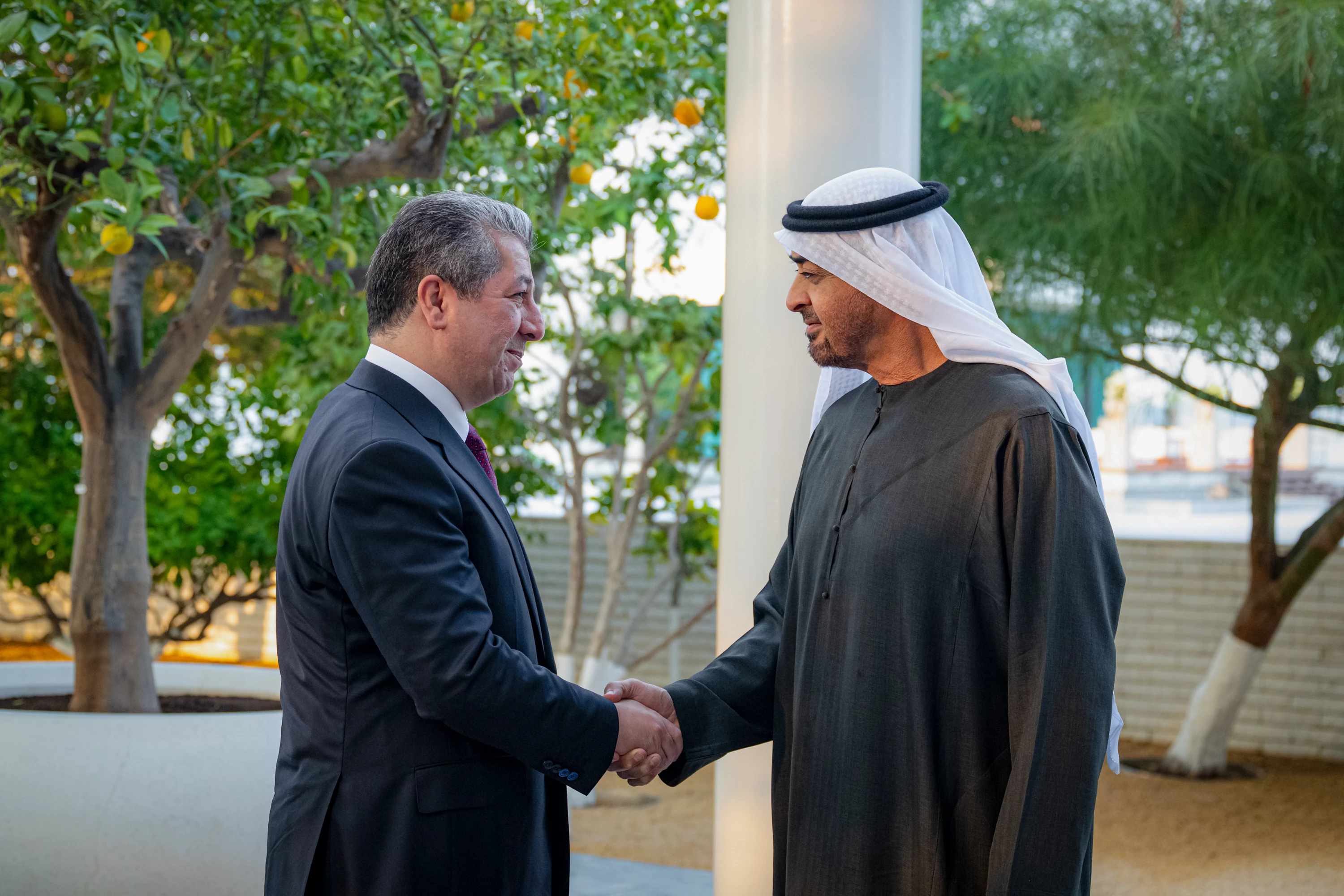 Image of PM Barzani meets Emirati President