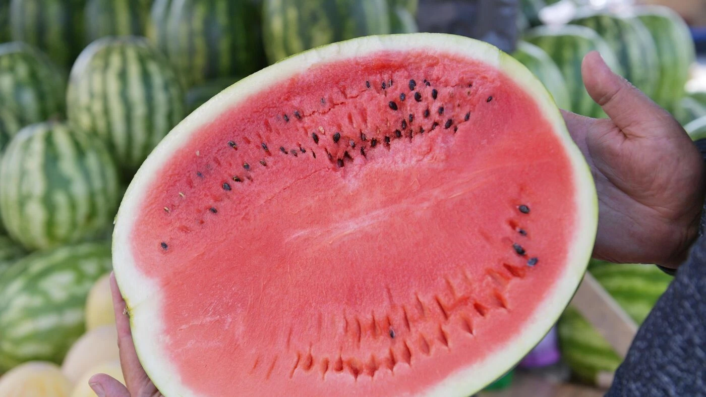 Image of Kurdistan Region returns over 90 tons of spoilt watermelon to Iran in 10 days 