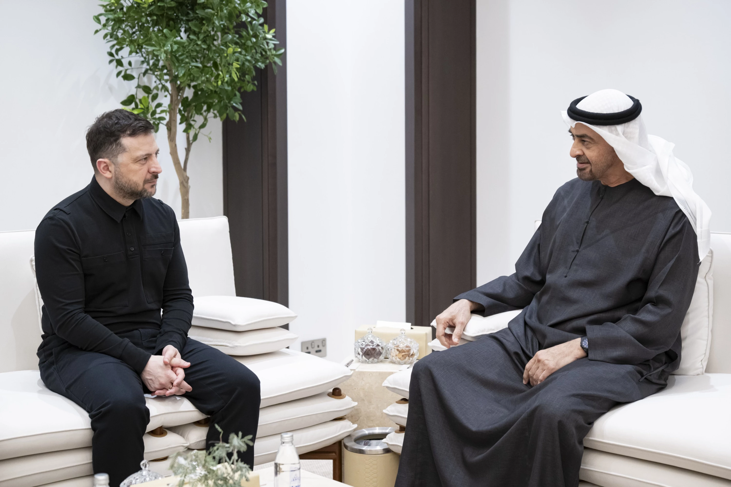 Image of Ukraine, UAE agree on defense cooperation amid drone threats