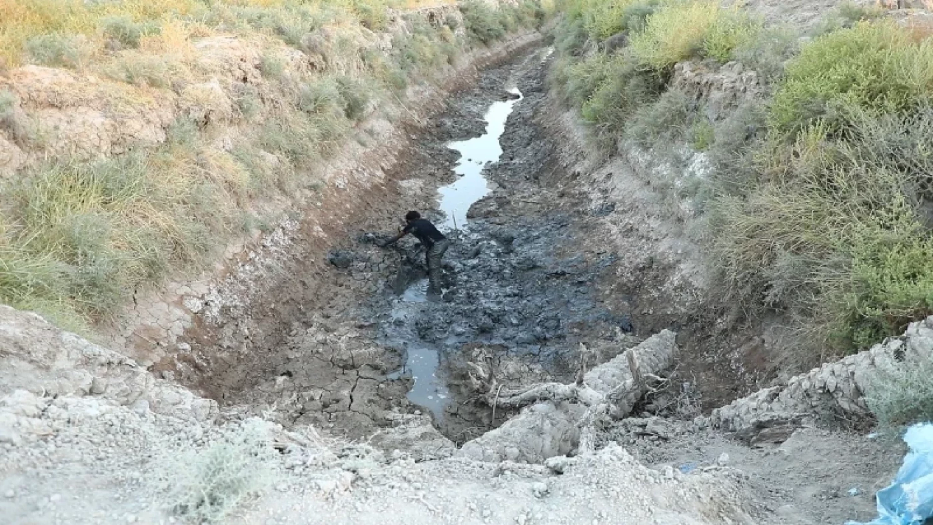 Image of Iraq still at risk of drought despite recent rains: Ministry