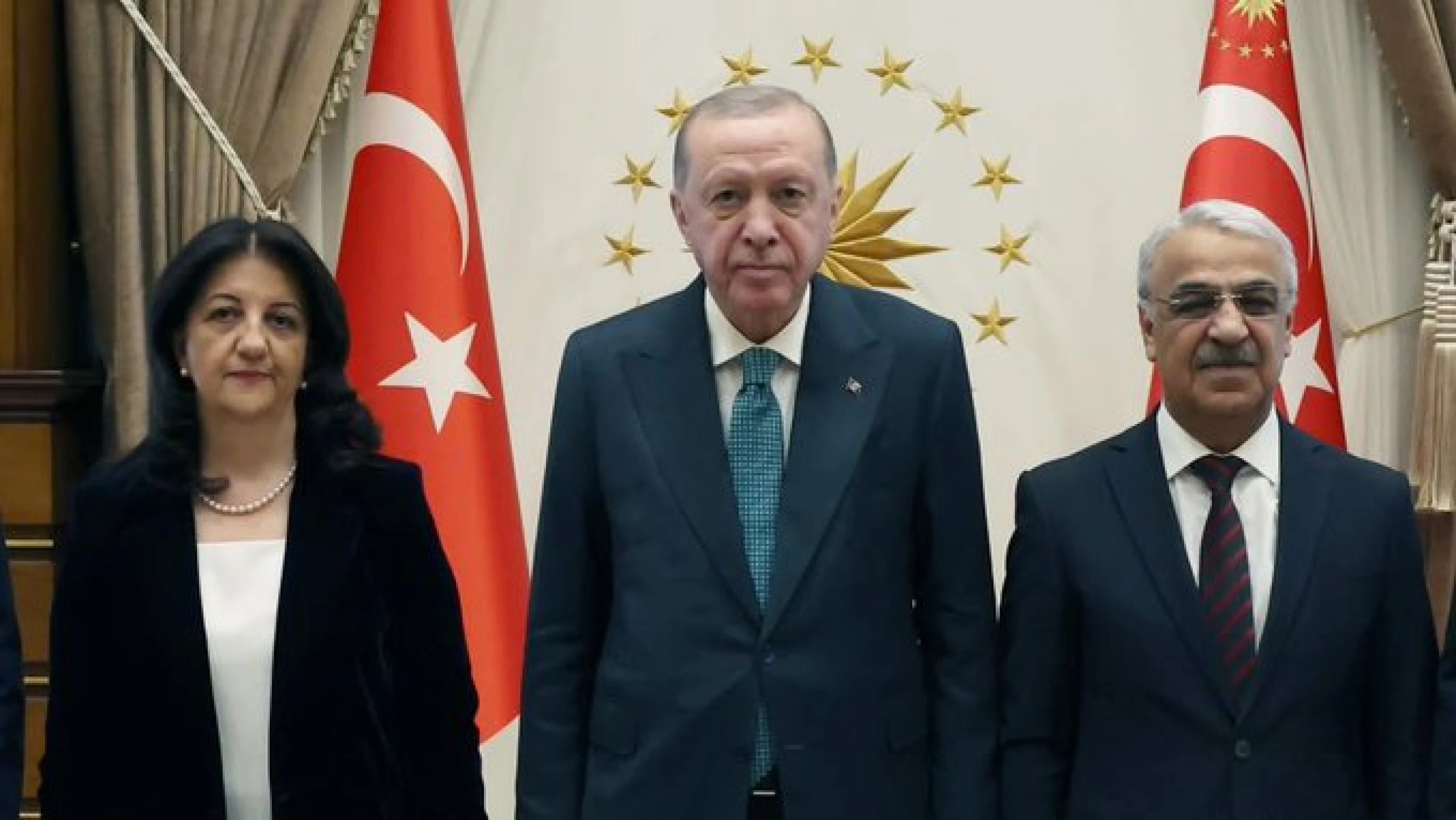 Image of DEM Party delegation meets Erdogan after passage of historic peace bill