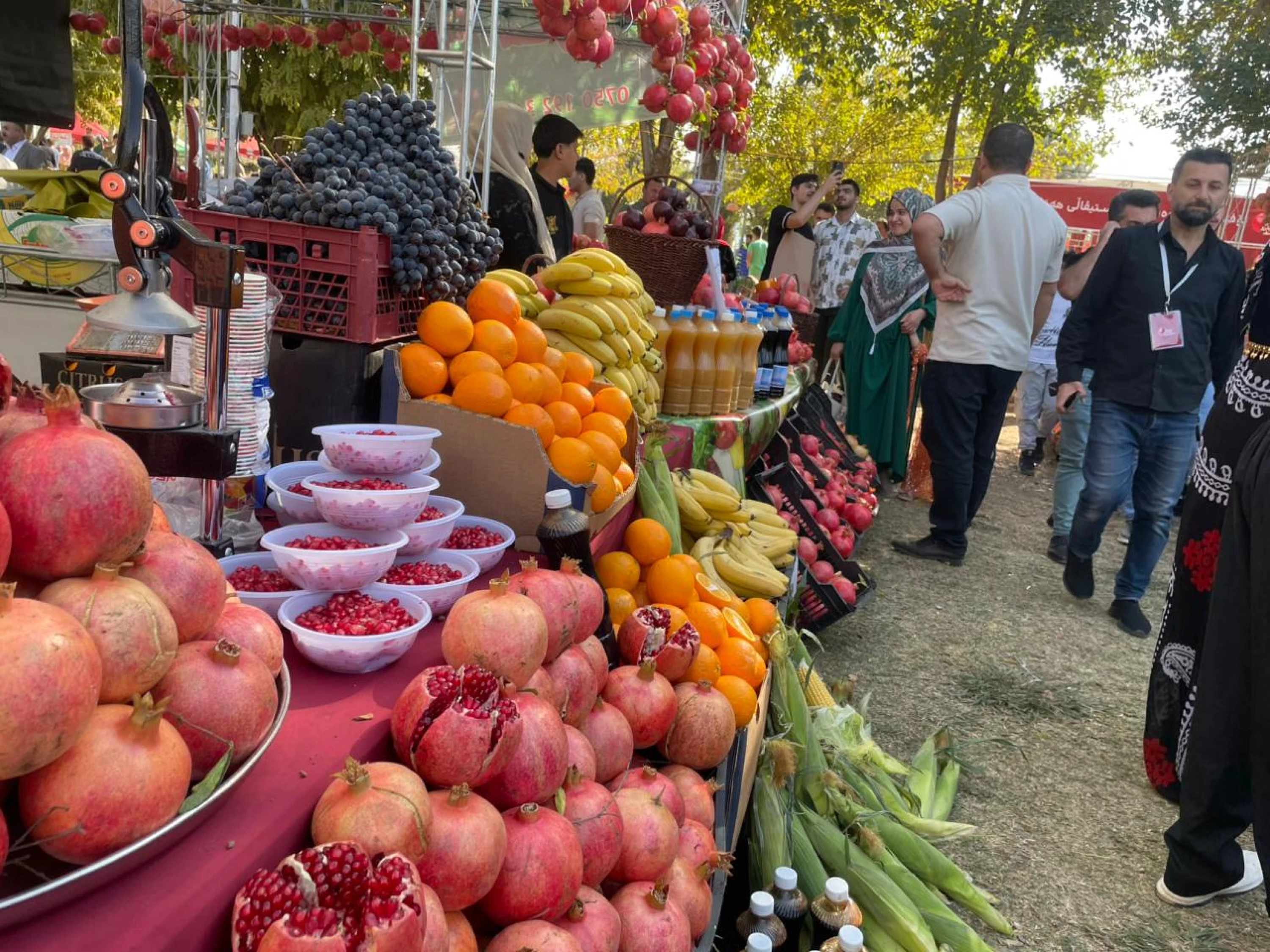 Image of Halabja festival rakes in over $1.2 million in revenue: Governor