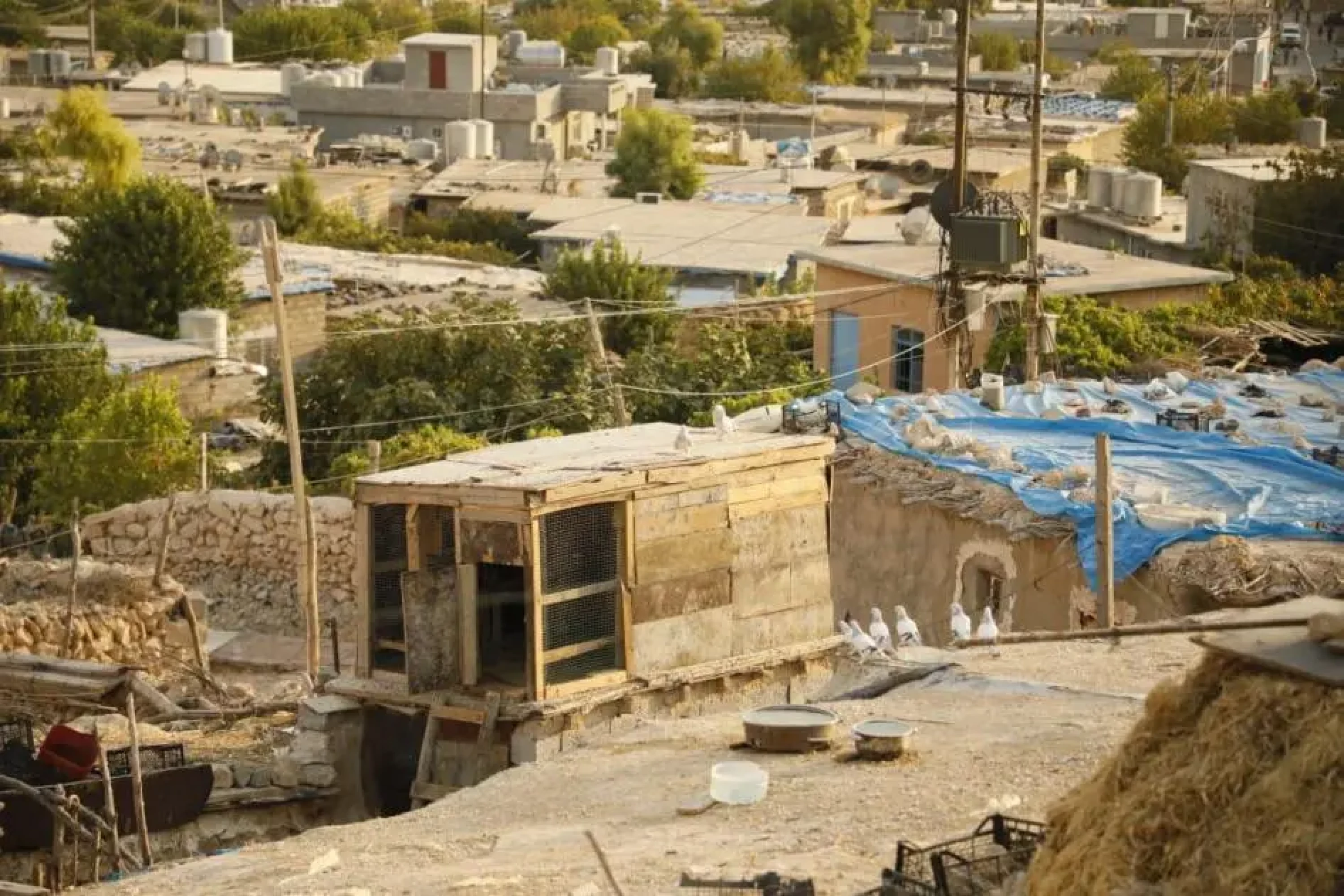 Image of  Ocalan calls for legal framework for Makhmour camp repatriations