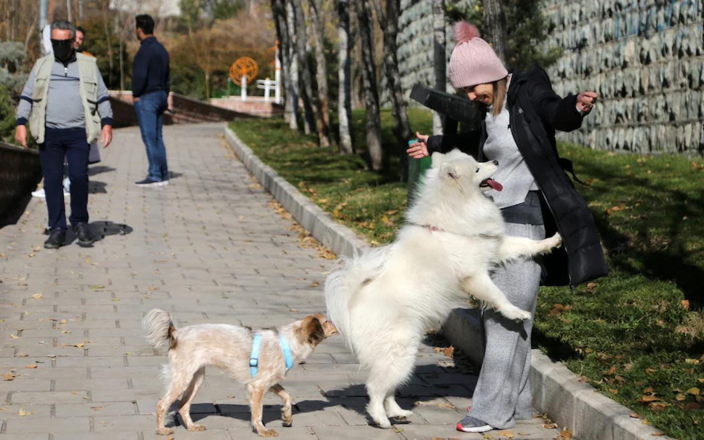 Image of Iran expands ban on walking dogs in public spaces