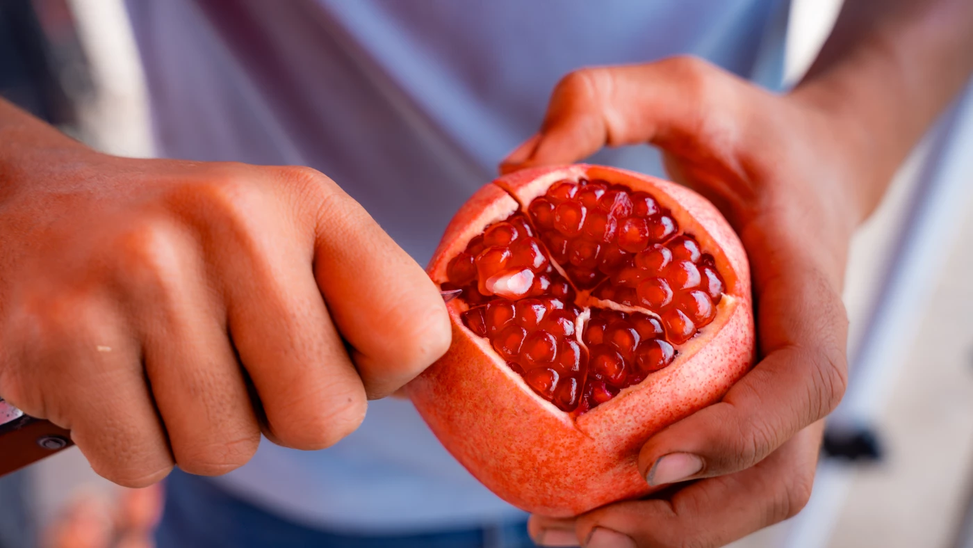 Image of Kurdistan’s farmers harvest first pomegranate of the season