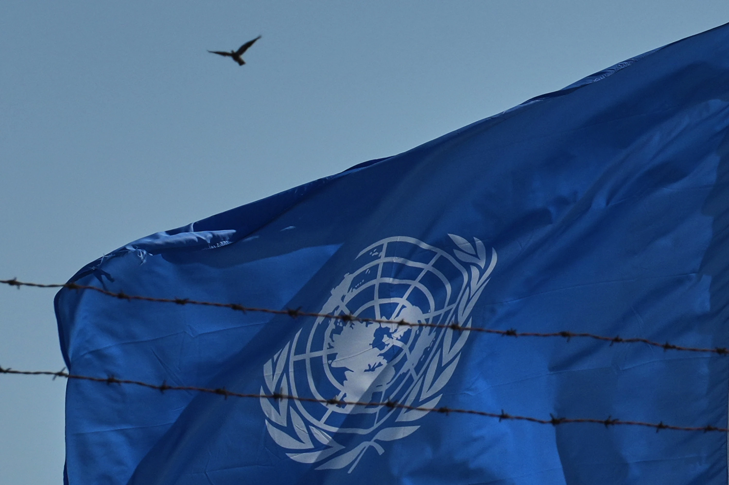 Image of UN demands investigation into death of its employee in Houthi detention