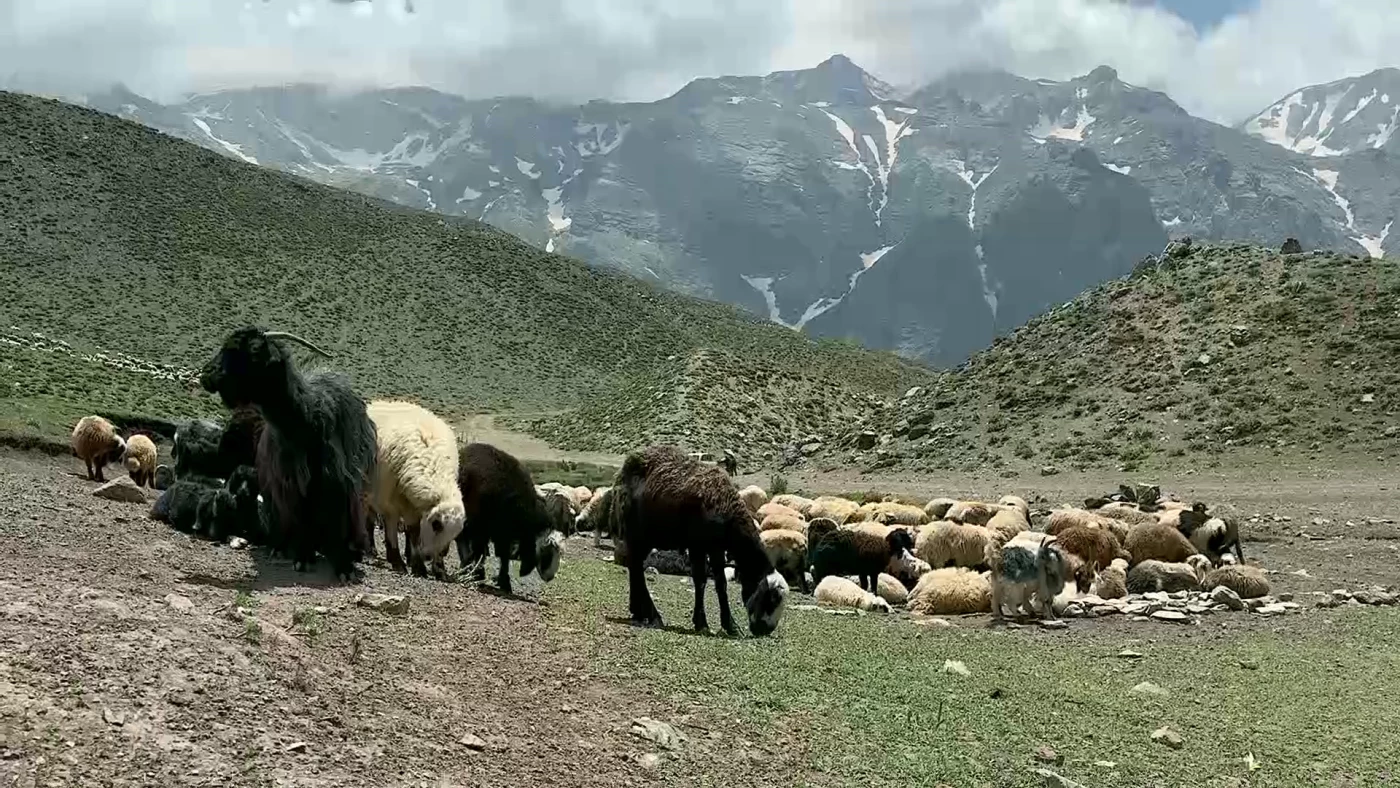 Climate change impacts nomadic migration, lifestyle in Kurdistan’s highlands  Image