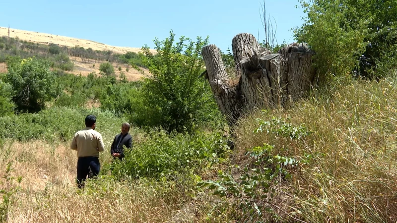 Drought wreaks havoc onRead More..