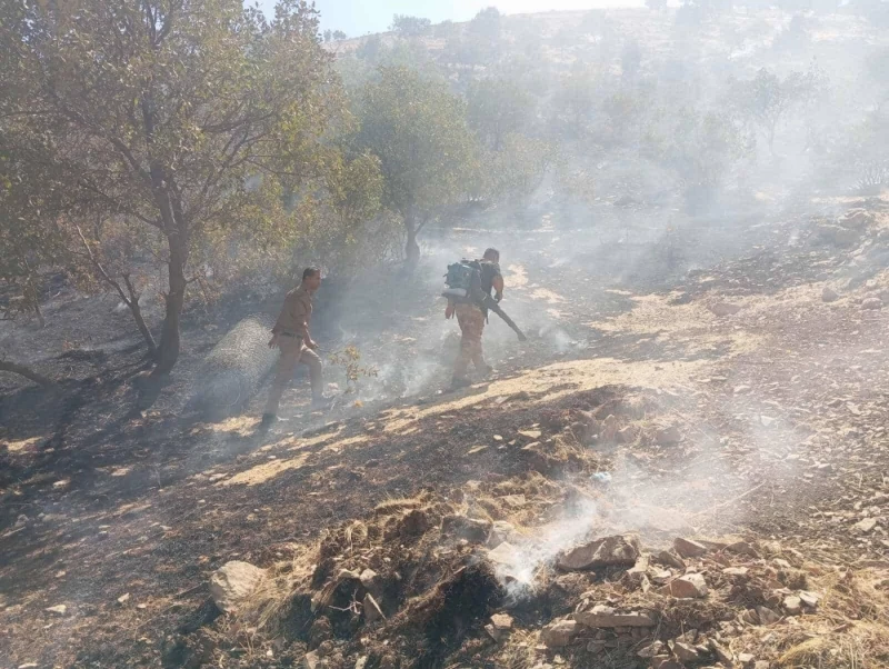 Sulaimani fire destroysRead More