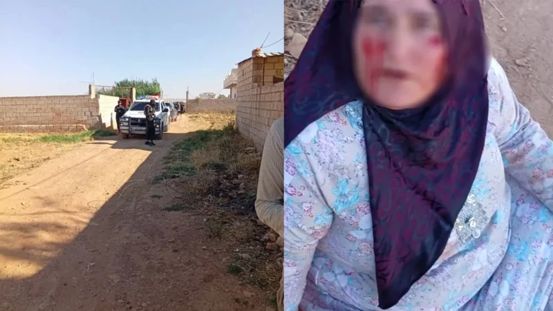 Kurdish official condemnsRead More