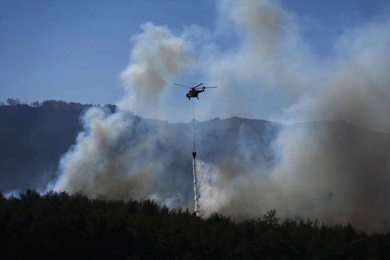 Wildfires rage inRead More