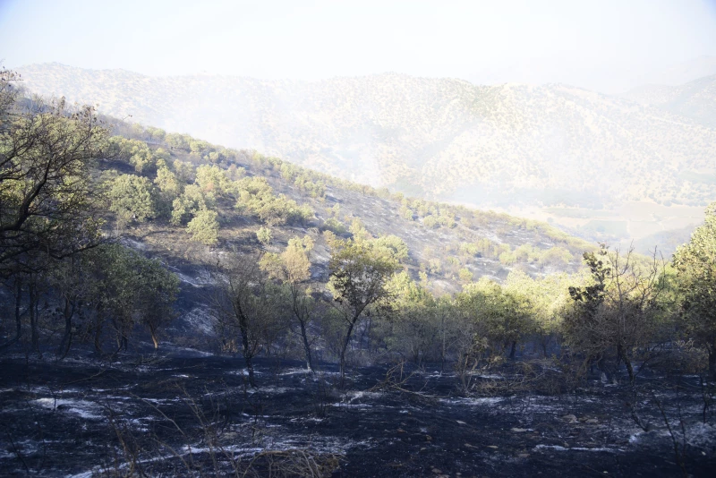 Penjwen fire burnsRead More