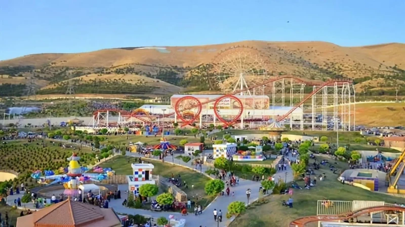 Amusement park shareholdersRead More