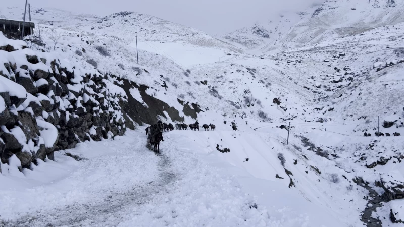 One kolbar killed,Read More