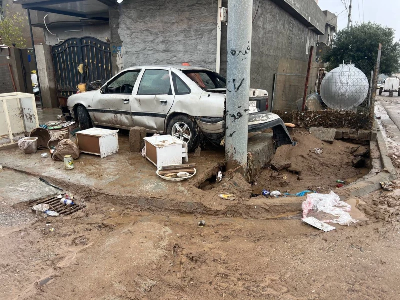 Over 650 carsRead More