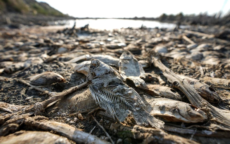 Dying waters: ClimateRead More